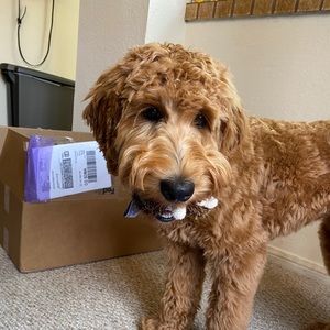 Meet your Posher, Jared